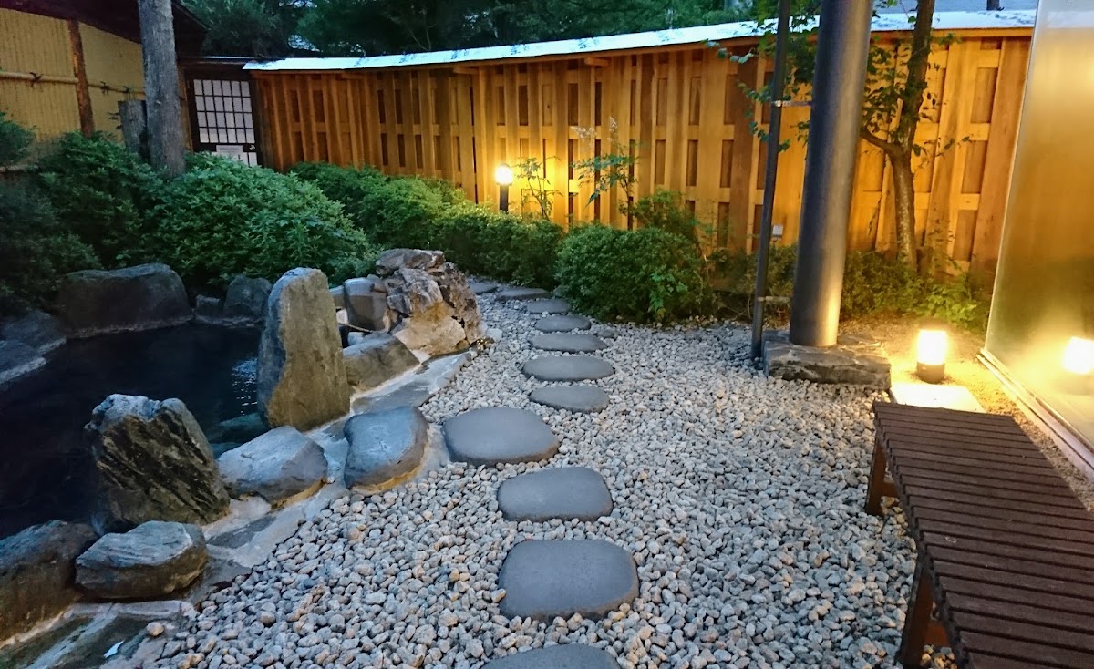 奥天竜 不動温泉 佐和屋の写真